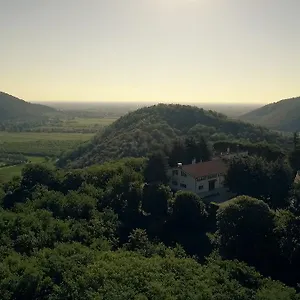 Fattoria Busa Dell'oro Frühstückspension Monte Ortone
